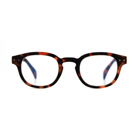SAVANNA Reader Tortoise